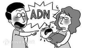 VKSND quận Đống Đa xây dựng kiến nghị phòng ngừa trong lĩnh vực hôn...